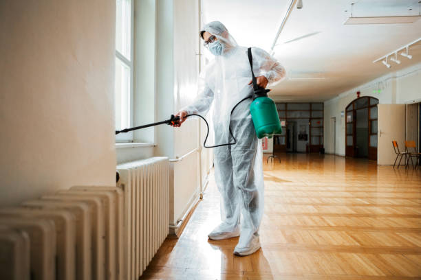 Reliable Cleveland, GA Pest Control Solutions